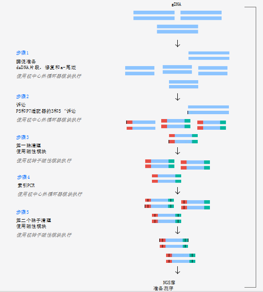 序列准备全自动微生物和人类DNA模板的文库制备