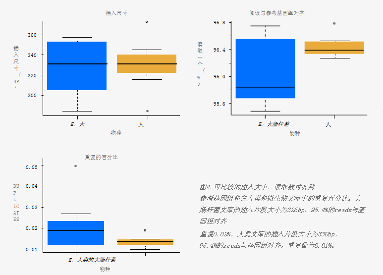 可比较的插入大小