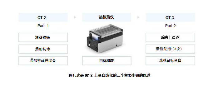 蛋白纯化的三个主要步骤的概述