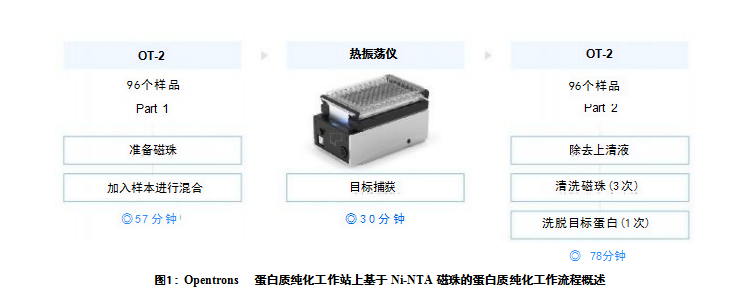 蛋白质纯化工作站上基于 Ni-NTA 磁珠的蛋白质纯化工作流程概述