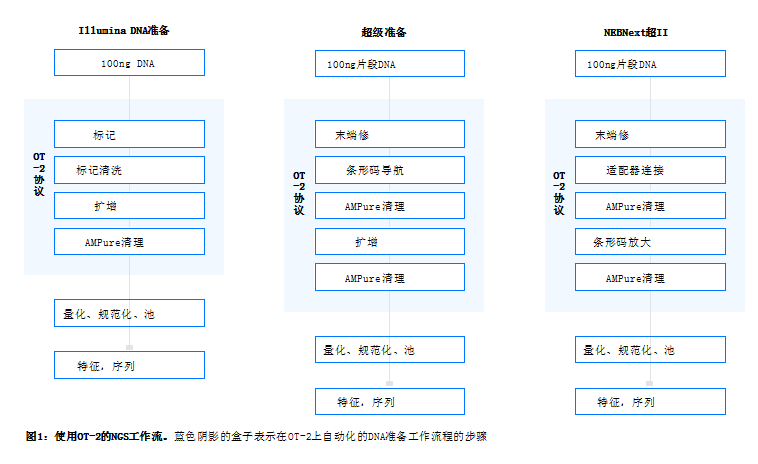 工作流布局