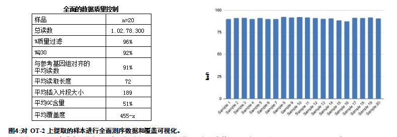 实验结果对比