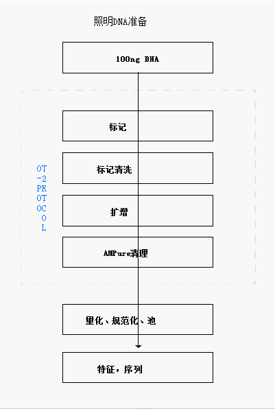 Illumina DNA准备工作流程