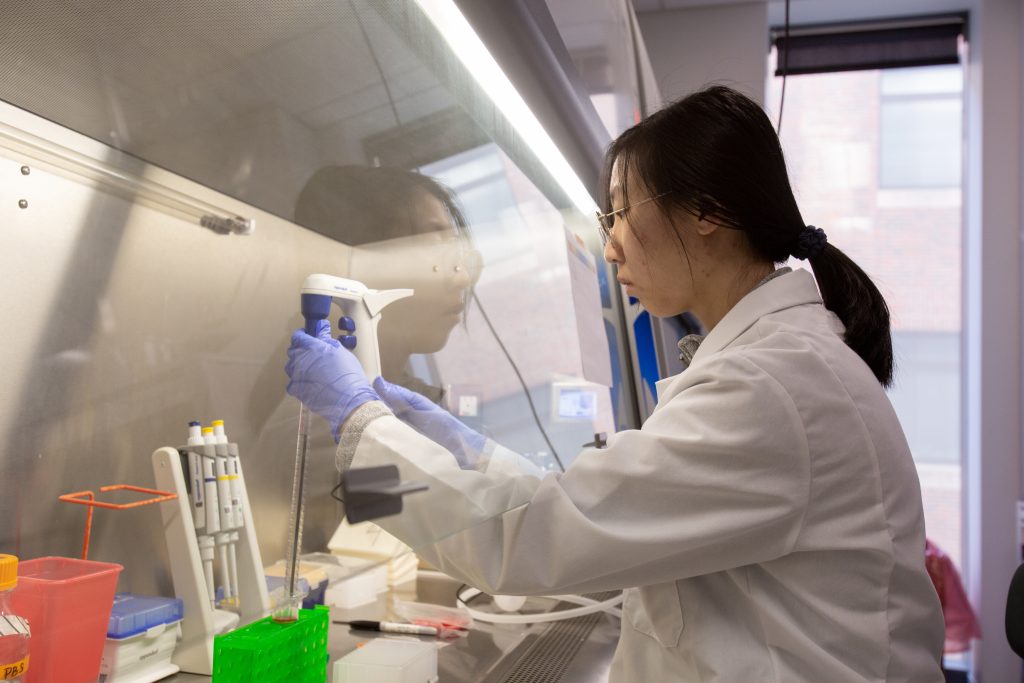 Flex蛋白质组学工作站的应用:如何提升蛋白质定量和浓度标准化?