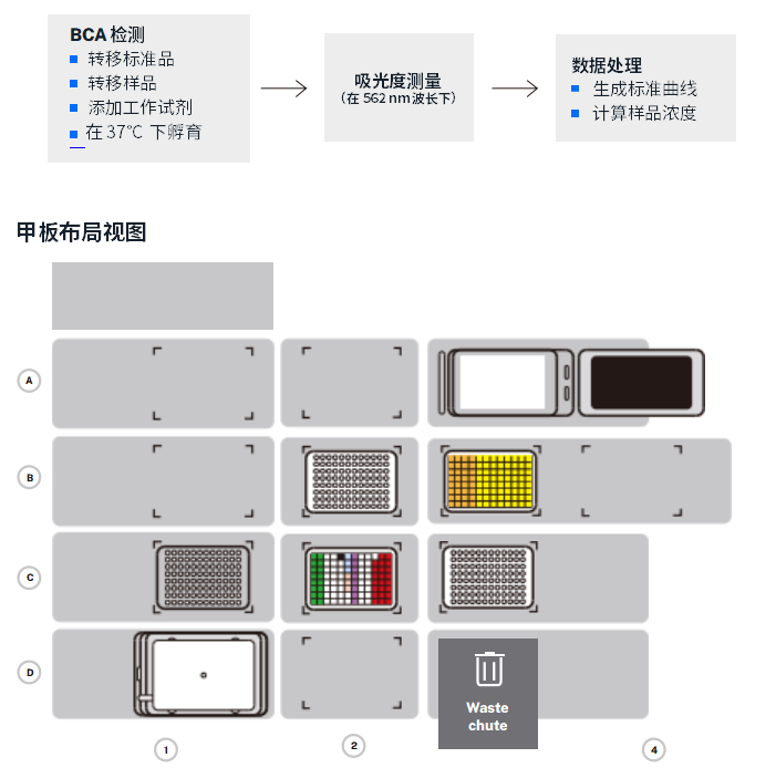 应用笔记 | 在 Opentrons Flex 上自动化的 Bicinchoninic Acid (BCA) 检测法 配图3