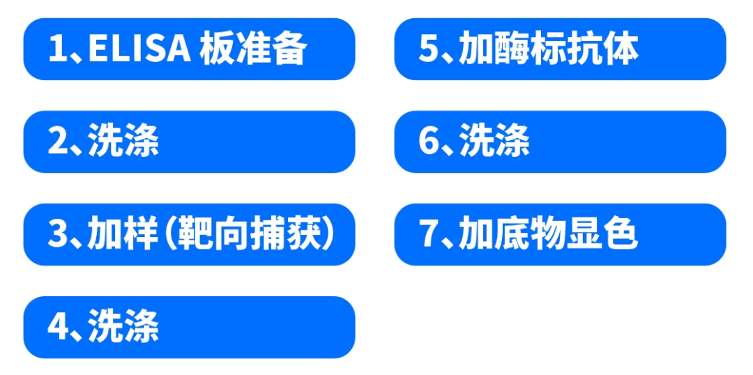 使用 Opentrons Flex 自动化移液工作站进行自动化 ELISA 实验 配图4