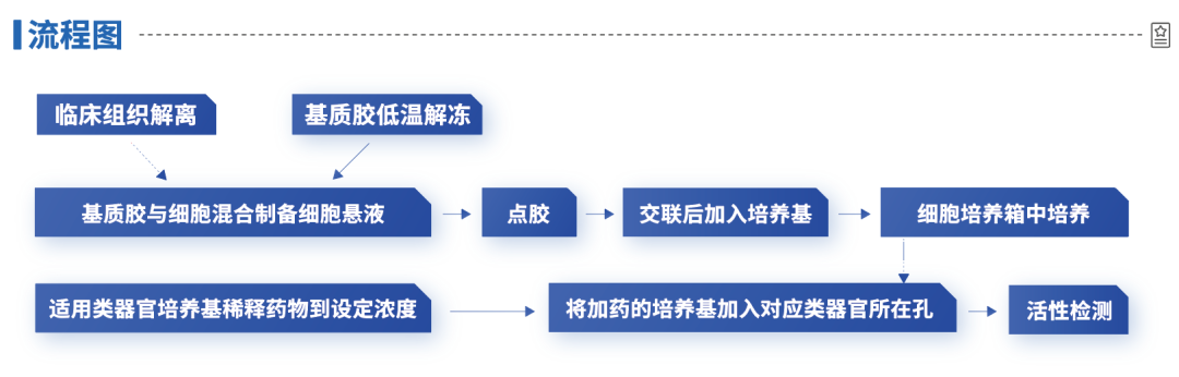 线下会议 | Opentrons邀您参加第5届类器官大会(北京站),携手共探实验室自动化新未来! 配图6