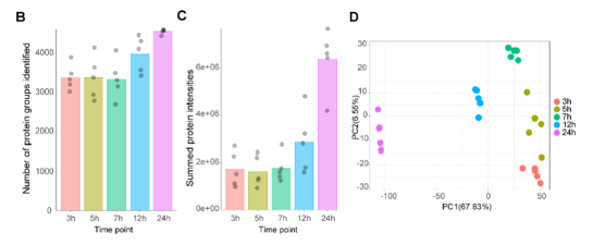 J Proteome Res | Opentrons Flex赋能微量分泌组蛋白质组学,实现单胚胎无创检测 配图7