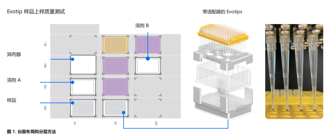 应用笔记 | 基于 Opentrons Flex 的 Evotip 辅助 LC-MS 样品制备 配图2